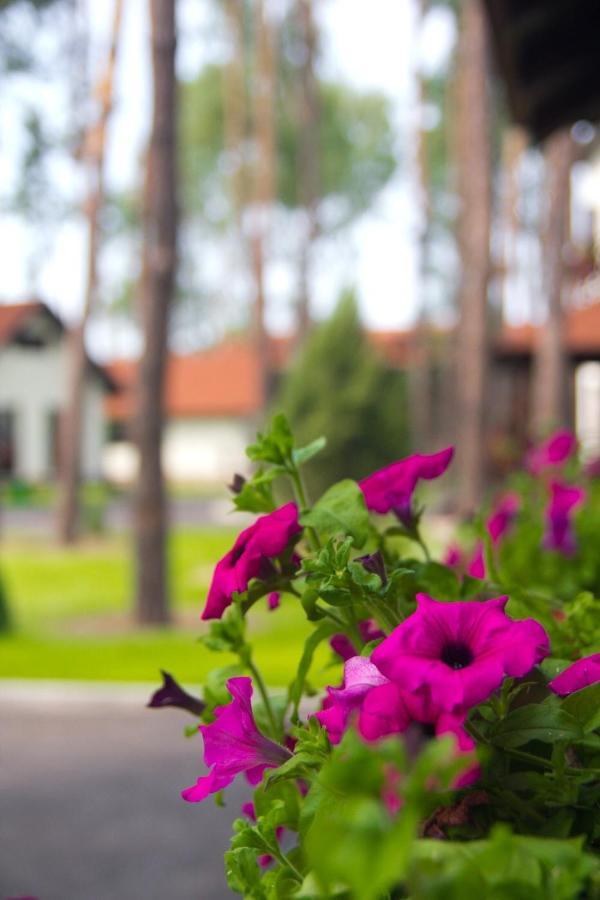 Park-Hotel Kidev Chubynske Εξωτερικό φωτογραφία