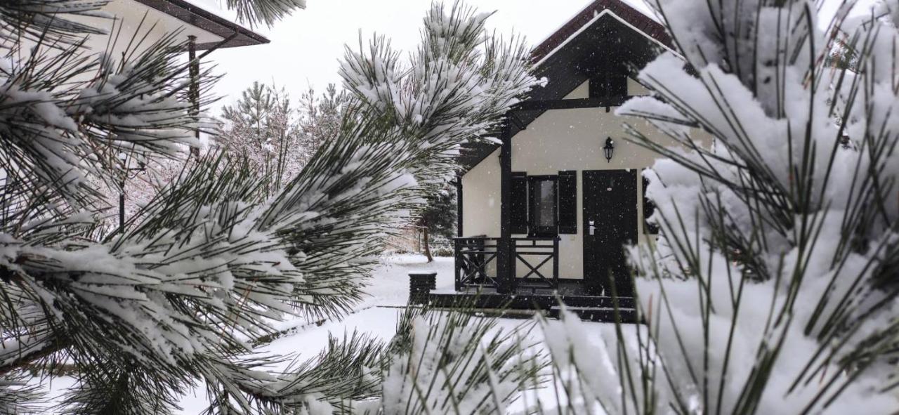 Park-Hotel Kidev Chubynske Εξωτερικό φωτογραφία