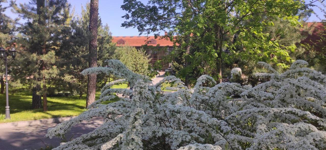 Park-Hotel Kidev Chubynske Εξωτερικό φωτογραφία