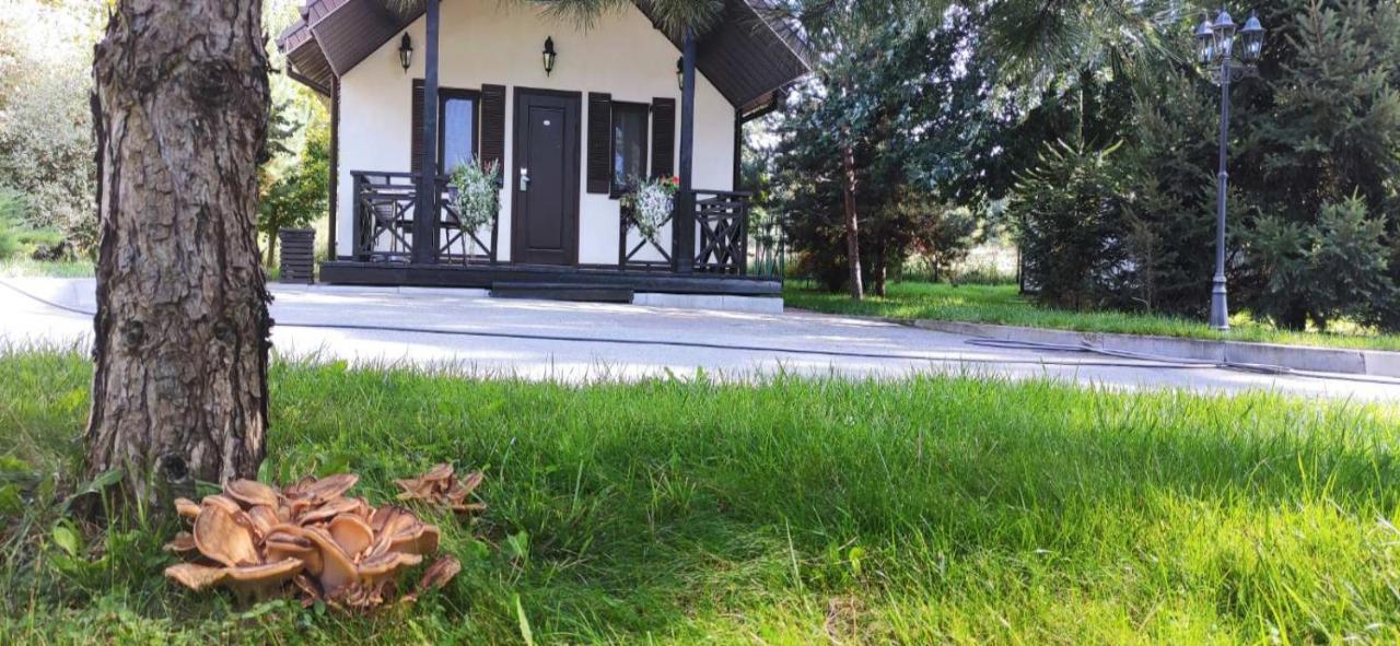 Park-Hotel Kidev Chubynske Εξωτερικό φωτογραφία