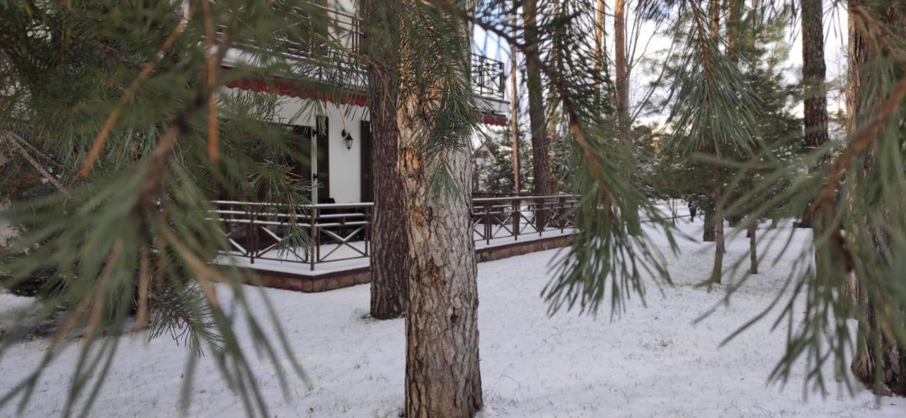Park-Hotel Kidev Chubynske Εξωτερικό φωτογραφία